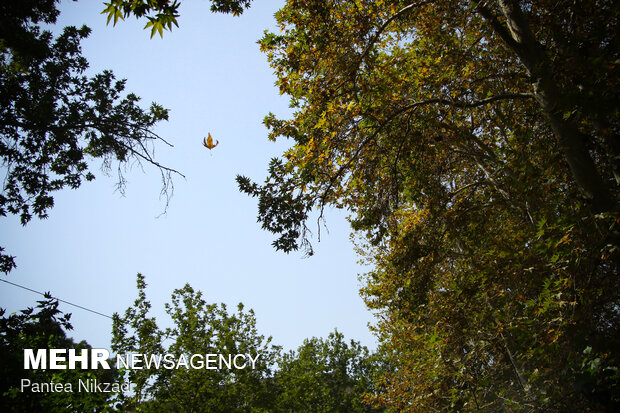 Early autumn in Tehran