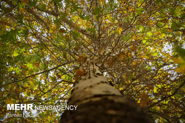 Early autumn in Tehran