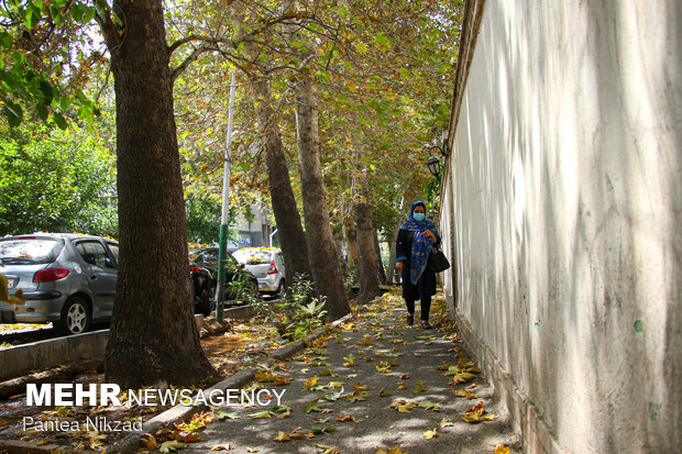 Early autumn in Tehran