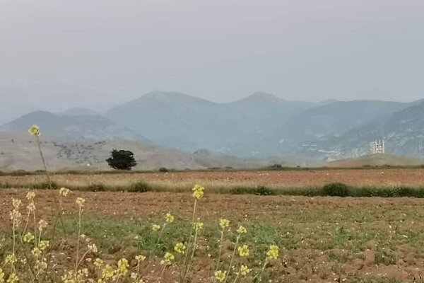 غبار صنعت سیمان بر پیکر سبز و کهن دیلمان گیلان