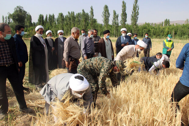 حضور امام جمعه بجنورد بین کشاورزان/ پرداخت زکات موجب برکت می‌شود