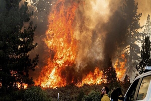 Over 300k acres burned across 6 states in US: Report 