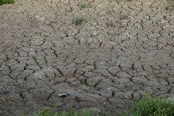 ۷۰۰ کیلومتر مربع به مساحت خشکسالی در سیستان و بلوچستان اضافه شد