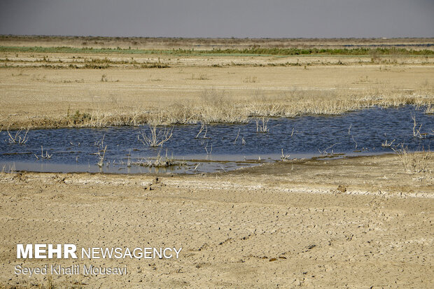 آبدهی رودخانه‌ها و چاه‌های استان بوشهر با کاهش شدید روبرو است