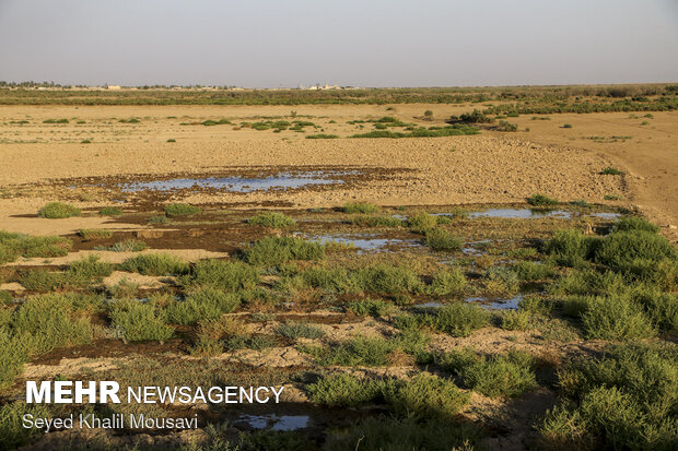 خسارت خشکسالی ۳ برابر سیلاب بوده است