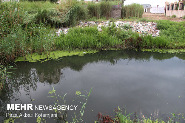 ورود فاضلاب خام به کانال آب کشاورزی پاکدشت- ورامین