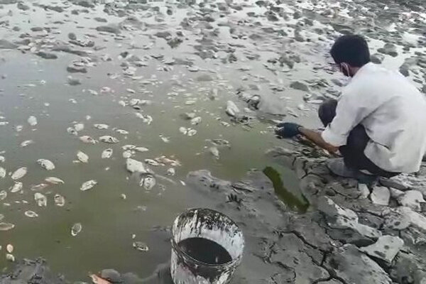 خسارت سیل به استخرهای پرورش ماهی الیگودرز
