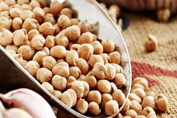 طلای دیم‌زارهای کرمانشاه در جیب دلالان برشته می‌شود
