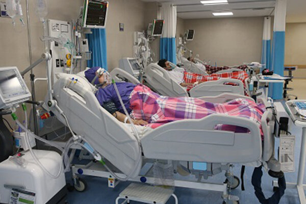 جان باختن ۱۶ بیمار کرونایی در استان بوشهر/ ۸۷۶ بیمار بستری هستند