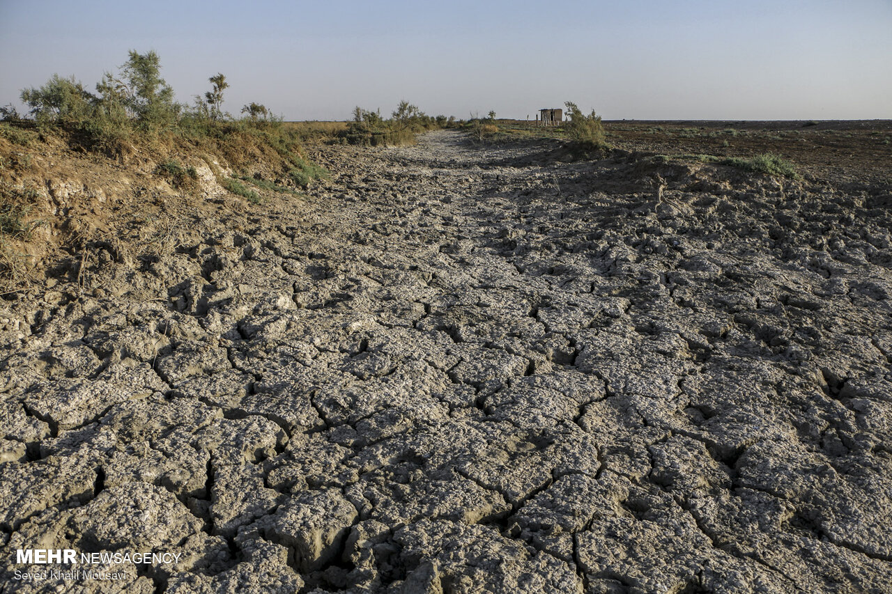 انتقال آب قطعاً جلگه خوزستان را نابود می کند
