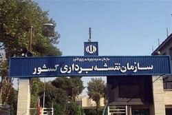 سازمان نقشه برداری نسبت به نرخ فرونشست در تهران هشدار داد