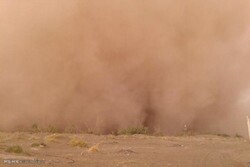 VIDEO: Terrible dust storms hit Kerman province