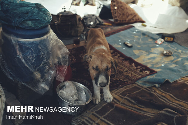 ما هنوز زنده ایم...