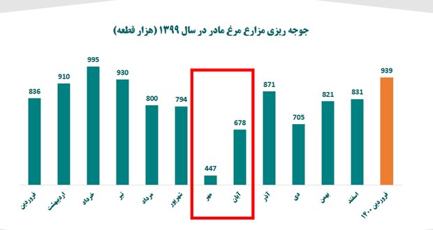 دومینوی بی‌تدبیری چگونه صنعت طیور را زمین‌گیر کرد؟