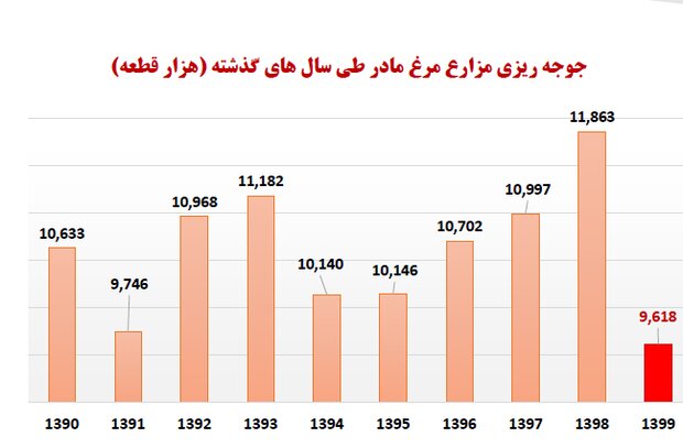 دومینوی بی‌تدبیری چگونه صنعت طیور را زمین‌گیر کرد؟