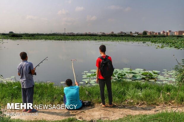 ماهیگیری از تفریحات گردشگران است‌.