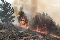 خسارت ۳.۵ میلیاردی آتش سوزی به پارک ملی ساریگل اسفراین