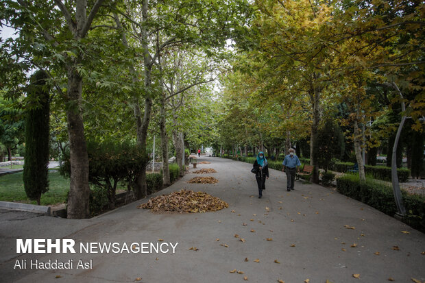 Spring weather in middle of Summer in Tehran