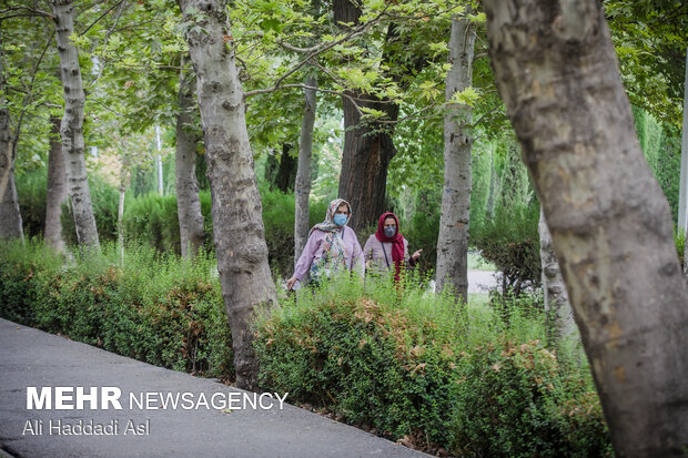 Spring weather in middle of Summer in Tehran