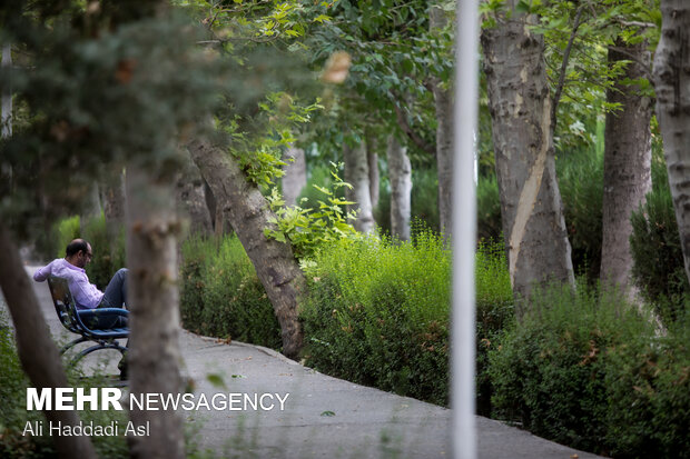 Spring weather in middle of Summer in Tehran