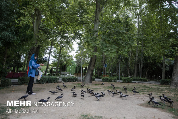 Spring weather in middle of Summer in Tehran