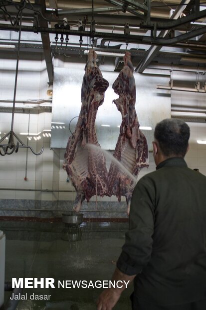 بازدید از روند ذبح شرعی کشتار دام در کردستان