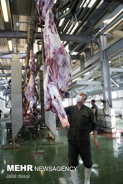 بازدید از روند ذبح شرعی کشتار دام در کردستان