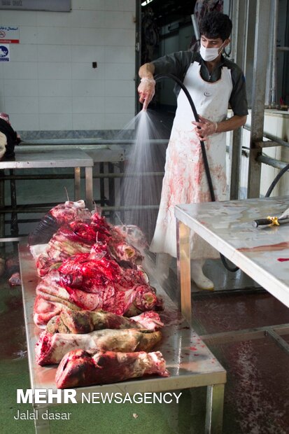 بازدید از روند ذبح شرعی کشتار دام در کردستان