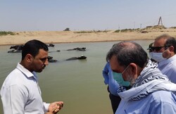 دولت پاسخگوی ضرر و زیان‌ ناشی از سوء مدیریت آب در خوزستان باشد