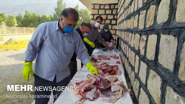 ذبح دام در مناطق مختلف ایلام
