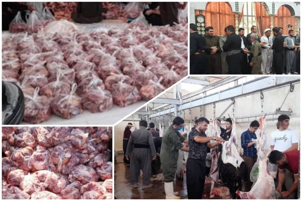 توزیع مساوی ۸۴۰۰ کیلوگرم گوشت قربانی در بین مردم بانه وره - خبرگزاری مهر |  اخبار ایران و جهان | Mehr News Agency