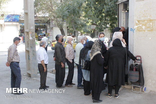 بازار مرغ در شهر کرمانشاه