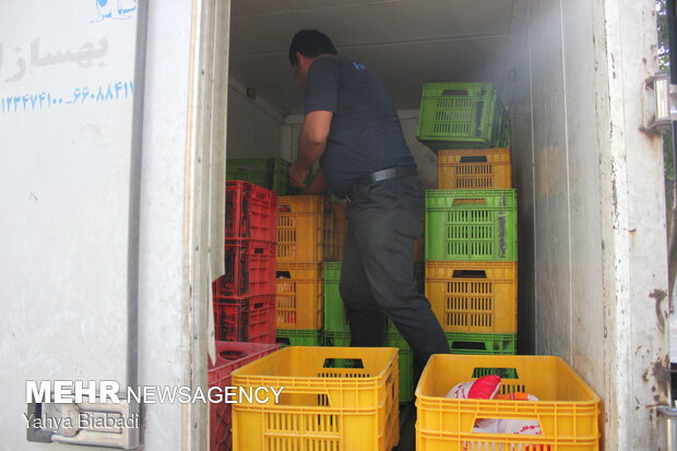ترخیص محموله بزرگ مرغ وارداتی از بندرشهیدرجایی در کمتر از ۲۴ ساعت
