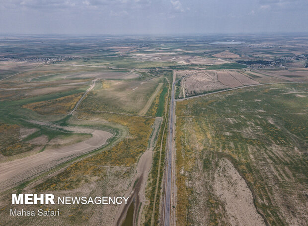 فاجعه در گلستان؛ منابع آبی خشک شد
