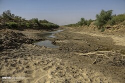 «برداشت غیرمجاز آب» عامل خشکی رودخانه دز در پایین دست است