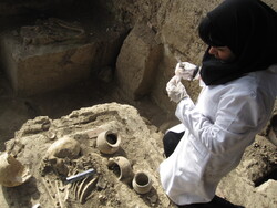 مطالعه ژنتیکی روی بقایای استخوانی به دست آمده از کاوشهای باستانی