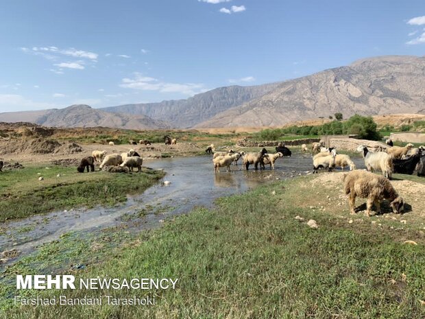 طبیعت روستای« تَرَشُّک» در بخش سوسن - شهرستان ایذه استان خوزستان