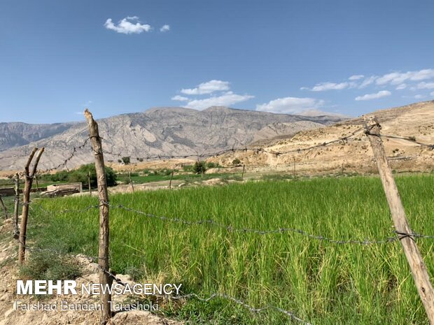 طبیعت روستای« تَرَشُّک» در بخش سوسن - شهرستان ایذه استان خوزستان