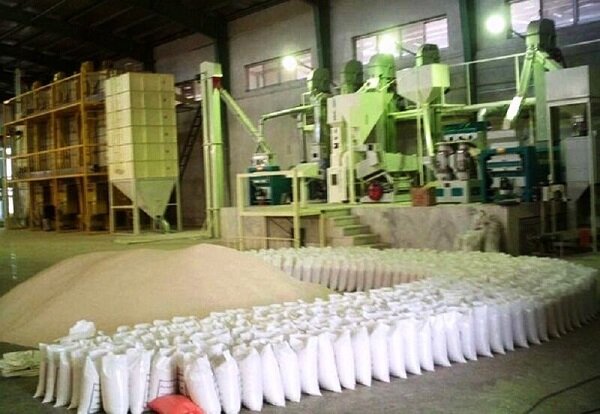 اصلاح ساختار ۷۲۵ شالیکوبی در گیلان/ ضایعات برنج ۷ درصد کاهش یافت