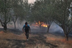 Antalya'daki orman yangını devam ediyor