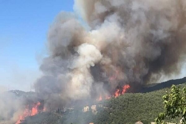 وقوع آتش سوزی گسترده در شمال لبنان