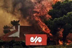 VIDEO: Wildfire still continues at forests in Greece