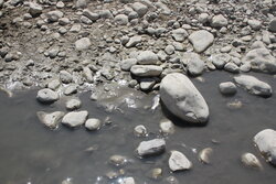 قسمتی از  رودخانه سیمره در ایلام خشک شد/ پمپاژ بی رویه آب برای کشاورزی