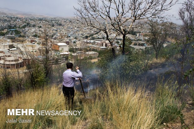 آتش سوزی پارک جنگلی توس نوذر سنندج