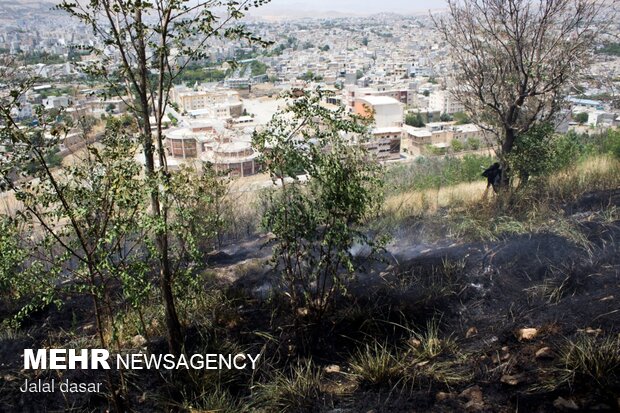 آتش سوزی پارک جنگلی توس نوذر سنندج