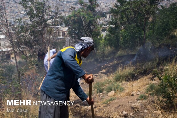 آتش سوزی پارک جنگلی توس نوذر سنندج