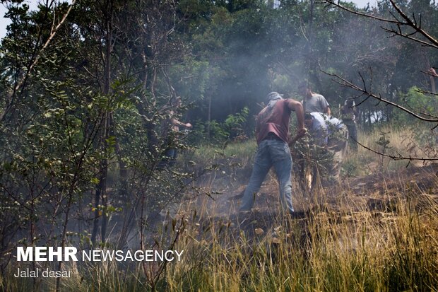 آتش سوزی پارک جنگلی توس نوذر سنندج