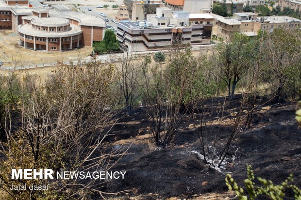 آتش سوزی پارک جنگلی توس نوذر سنندج