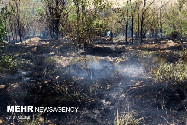 آتش سوزی پارک جنگلی توس نوذر سنندج