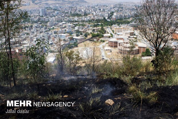 آتش سوزی پارک جنگلی توس نوذر سنندج